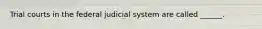 Trial courts in the federal judicial system are called ______.