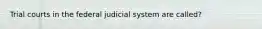 Trial courts in the federal judicial system are called?