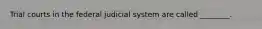 Trial courts in the federal judicial system are called ________.