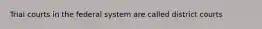 Trial courts in the federal system are called district courts