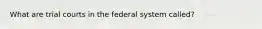 What are trial courts in the federal system called?