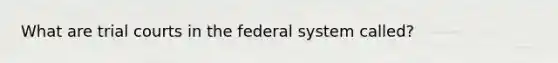 What are trial courts in the federal system called?