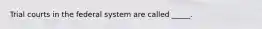 Trial courts in the federal system are called _____.