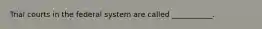 Trial courts in the federal system are called ___________.