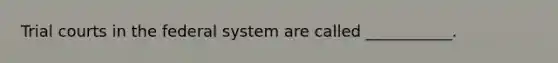 Trial courts in the federal system are called ___________.
