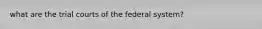 what are the trial courts of the federal system?