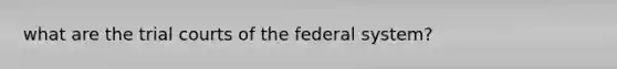 what are the trial courts of the federal system?