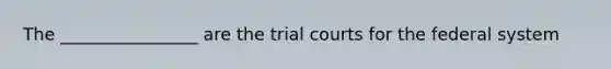 The ________________ are the trial courts for the federal system