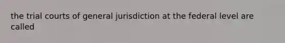 the trial courts of general jurisdiction at the federal level are called