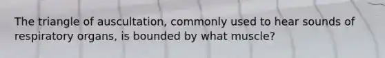 The triangle of auscultation, commonly used to hear sounds of respiratory organs, is bounded by what muscle?