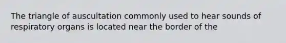 The triangle of auscultation commonly used to hear sounds of respiratory organs is located near the border of the