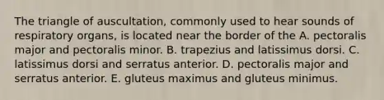 The triangle of auscultation, commonly used to hear sounds of respiratory organs, is located near the border of the A. pectoralis major and pectoralis minor. B. trapezius and latissimus dorsi. C. latissimus dorsi and serratus anterior. D. pectoralis major and serratus anterior. E. gluteus maximus and gluteus minimus.