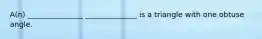 A(n) _______________ ______________ is a triangle with one obtuse angle.