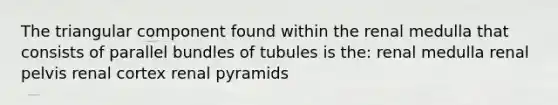 The triangular component found within the renal medulla that consists of parallel bundles of tubules is the: renal medulla renal pelvis renal cortex renal pyramids