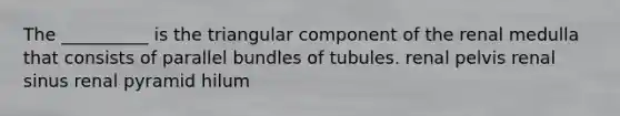 The __________ is the triangular component of the renal medulla that consists of parallel bundles of tubules. renal pelvis renal sinus renal pyramid hilum