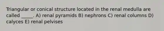 Triangular or conical structure located in the renal medulla are called _____. A) renal pyramids B) nephrons C) renal columns D) calyces E) renal pelvises