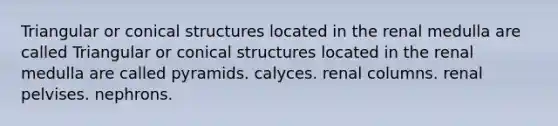 Triangular or conical structures located in the renal medulla are called Triangular or conical structures located in the renal medulla are called pyramids. calyces. renal columns. renal pelvises. nephrons.