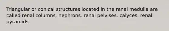 Triangular or conical structures located in the renal medulla are called renal columns. nephrons. renal pelvises. calyces. renal pyramids.