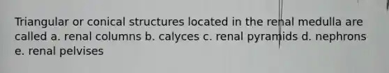 Triangular or conical structures located in the renal medulla are called a. renal columns b. calyces c. renal pyramids d. nephrons e. renal pelvises