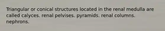 Triangular or conical structures located in the renal medulla are called calyces. renal pelvises. pyramids. renal columns. nephrons.