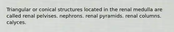 Triangular or conical structures located in the renal medulla are called renal pelvises. nephrons. renal pyramids. renal columns. calyces.