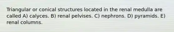 Triangular or conical structures located in the renal medulla are called A) calyces. B) renal pelvises. C) nephrons. D) pyramids. E) renal columns.