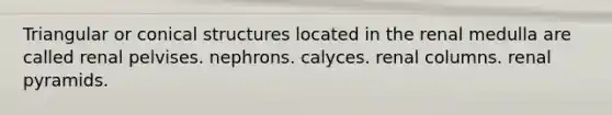 Triangular or conical structures located in the renal medulla are called renal pelvises. nephrons. calyces. renal columns. renal pyramids.