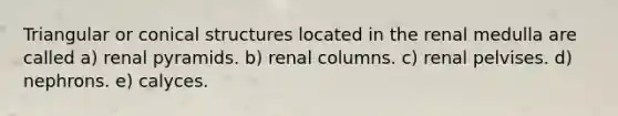 Triangular or conical structures located in the renal medulla are called a) renal pyramids. b) renal columns. c) renal pelvises. d) nephrons. e) calyces.