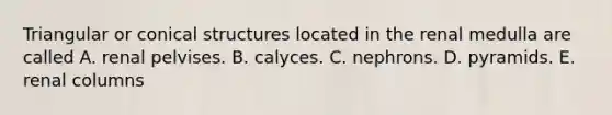 Triangular or conical structures located in the renal medulla are called A. renal pelvises. B. calyces. C. nephrons. D. pyramids. E. renal columns