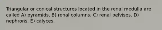 Triangular or conical structures located in the renal medulla are called A) pyramids. B) renal columns. C) renal pelvises. D) nephrons. E) calyces.