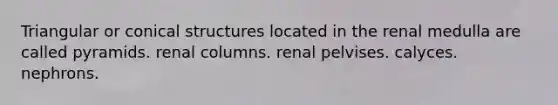 Triangular or conical structures located in the renal medulla are called pyramids. renal columns. renal pelvises. calyces. nephrons.