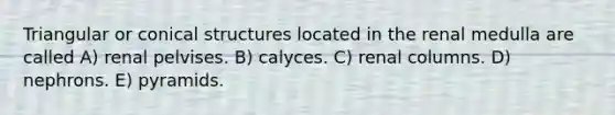 Triangular or conical structures located in the renal medulla are called A) renal pelvises. B) calyces. C) renal columns. D) nephrons. E) pyramids.