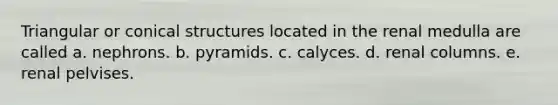 Triangular or conical structures located in the renal medulla are called a. nephrons. b. pyramids. c. calyces. d. renal columns. e. renal pelvises.