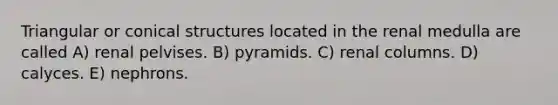 Triangular or conical structures located in the renal medulla are called A) renal pelvises. B) pyramids. C) renal columns. D) calyces. E) nephrons.