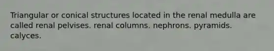 Triangular or conical structures located in the renal medulla are called renal pelvises. renal columns. nephrons. pyramids. calyces.