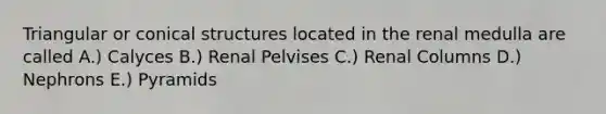 Triangular or conical structures located in the renal medulla are called A.) Calyces B.) Renal Pelvises C.) Renal Columns D.) Nephrons E.) Pyramids