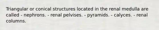 Triangular or conical structures located in the renal medulla are called - nephrons. - renal pelvises. - pyramids. - calyces. - renal columns.