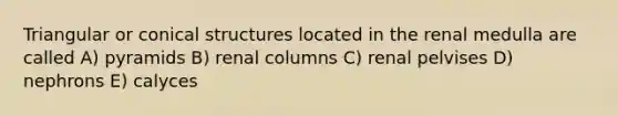 Triangular or conical structures located in the renal medulla are called A) pyramids B) renal columns C) renal pelvises D) nephrons E) calyces