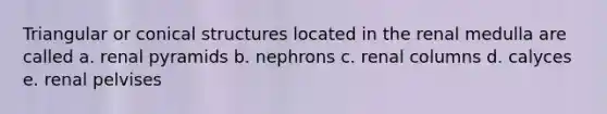 Triangular or conical structures located in the renal medulla are called a. renal pyramids b. nephrons c. renal columns d. calyces e. renal pelvises