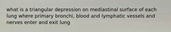 what is a triangular depression on mediastinal surface of each lung where primary bronchi, blood and lymphatic vessels and nerves enter and exit lung