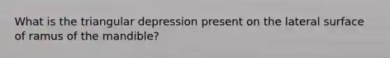What is the triangular depression present on the lateral surface of ramus of the mandible?
