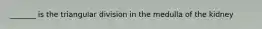 _______ is the triangular division in the medulla of the kidney