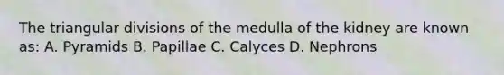 The triangular divisions of the medulla of the kidney are known as: A. Pyramids B. Papillae C. Calyces D. Nephrons