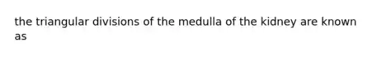 the triangular divisions of the medulla of the kidney are known as