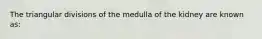 The triangular divisions of the medulla of the kidney are known as: