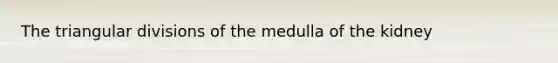 The triangular divisions of the medulla of the kidney