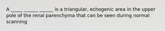 A _____ ______ ______ is a triangular, echogenic area in the upper pole of the renal parenchyma that can be seen during normal scanning