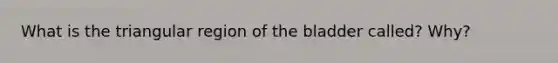 What is the triangular region of the bladder called? Why?