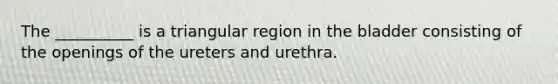 The __________ is a triangular region in the bladder consisting of the openings of the ureters and urethra.