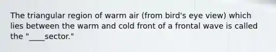 The triangular region of warm air (from bird's eye view) which lies between the warm and cold front of a frontal wave is called the "____sector."